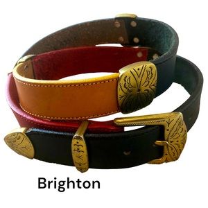 Brighton Vintage Leather Brass Belt. Gorgeous colors and measures 39 inches.